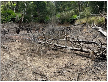 Drained Dam