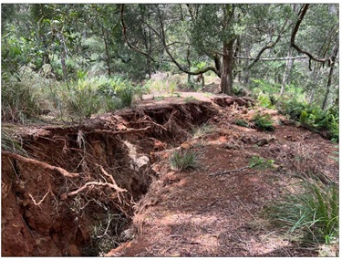 Landslide Headscape