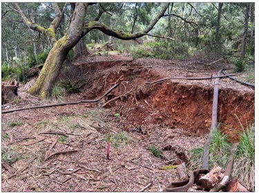 Landslide Headscape