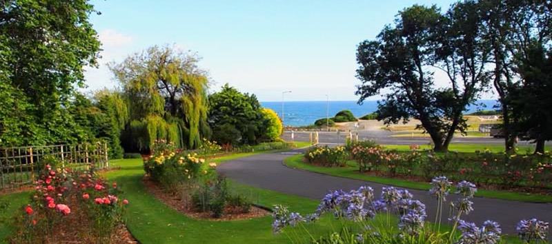 Burnie Park roses