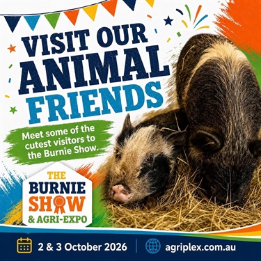 Animals