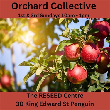Reseed-Orchard
