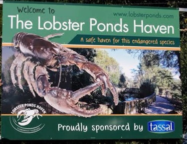Lobster