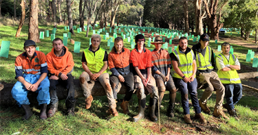 Contractors Artisan Greencare, Titania’s Garden Services, Healthy Country Services and Four Seasons Forestry Services