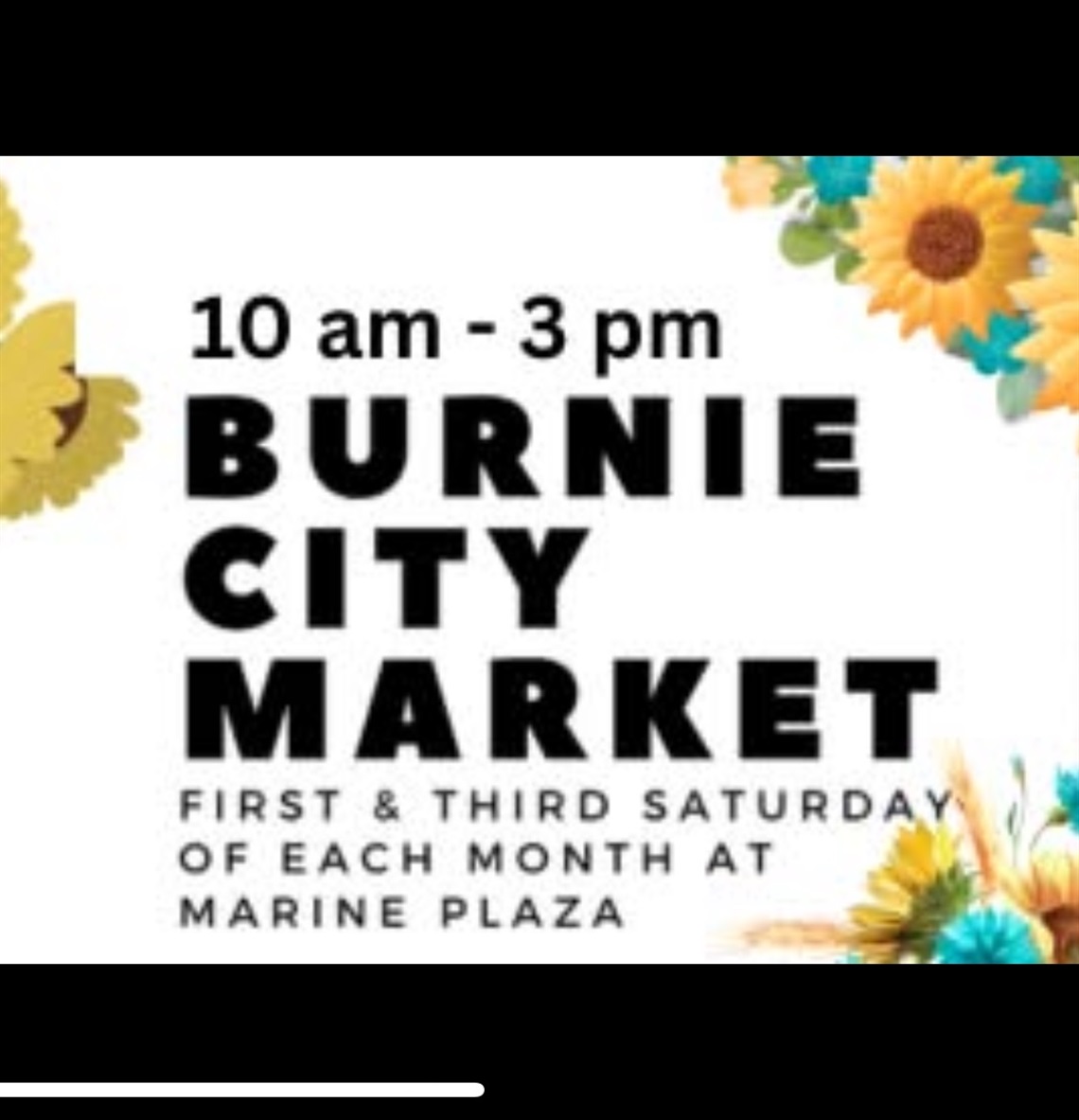 Burnie City Market 