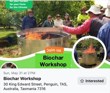 Biochar