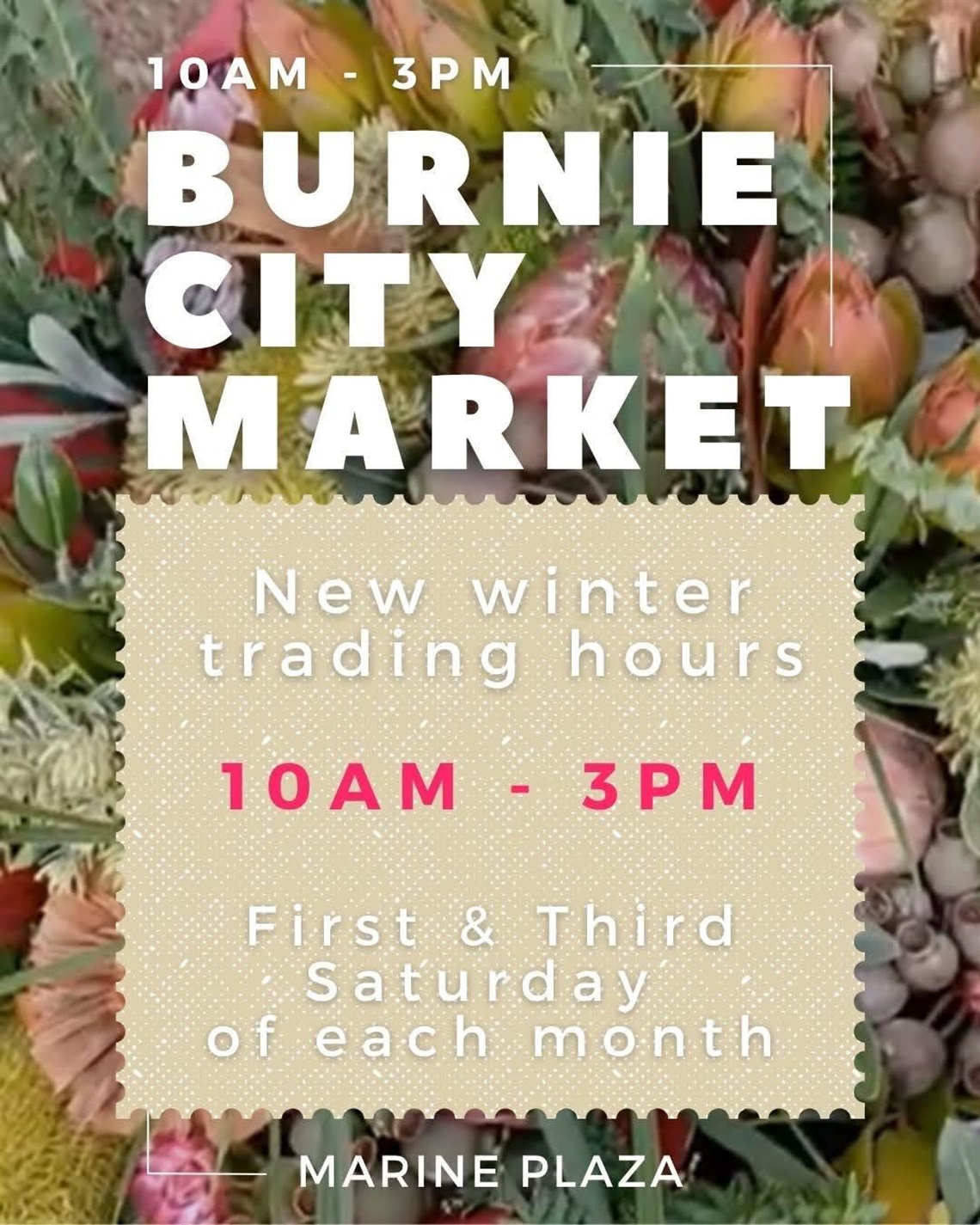 Burnie City Market 