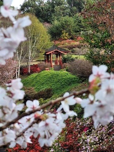 EVRG in Spring - Japan Pavillon