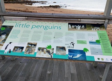 penguin - sign