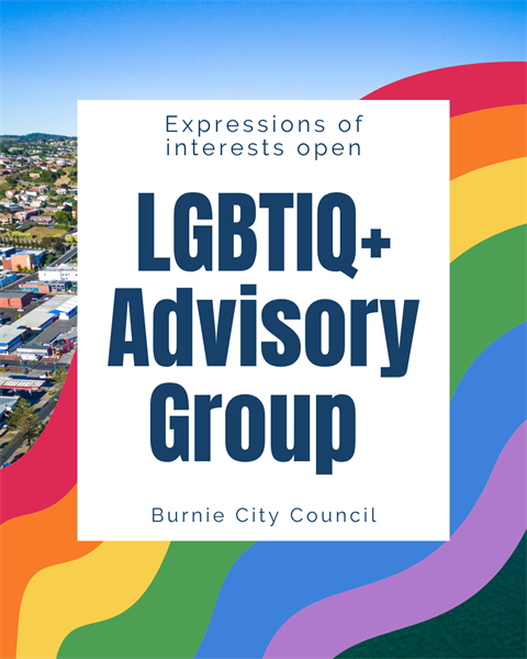 LGBTIQ+ advisory group .png