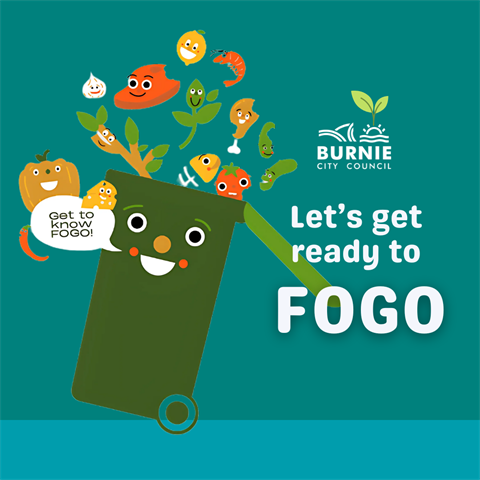 FOGO (3).png