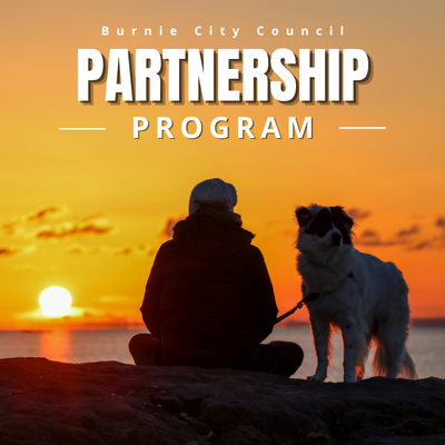 Partnership Program.png