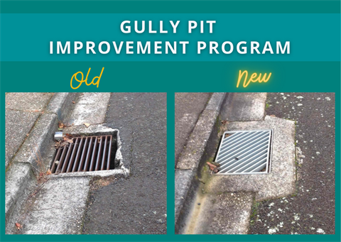 Gully Pit Improvement Program.png