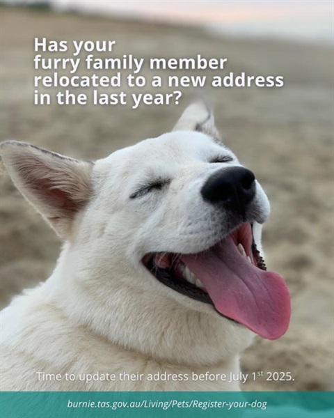 BCC Social tiles (1080 x 1350) (21).jpg