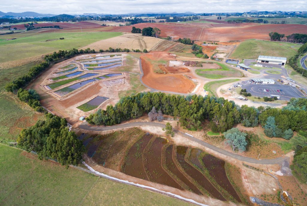 Wetland project.png