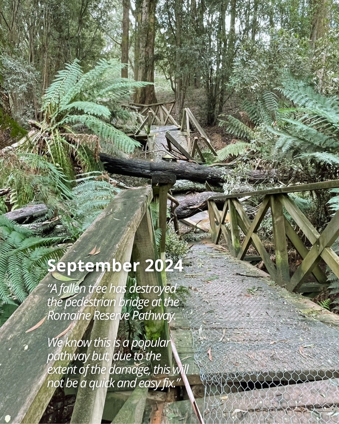 BCC Social tiles (1080 x 1350) (11).jpg