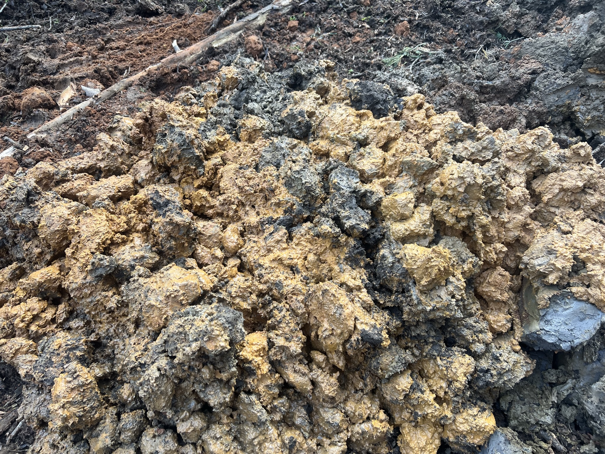 Saturated soils within landslide area.JPEG