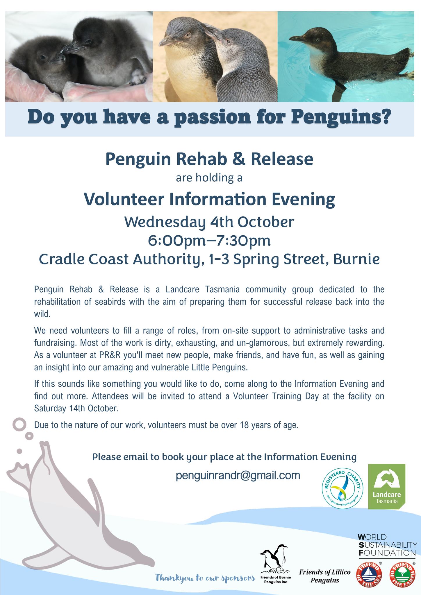 penguin rehab.jpg