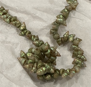 A traditional Tasmanian Aboriginal shell necklace made of green maireener shells.