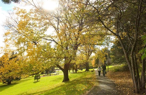 Burnie Park in Autumn
