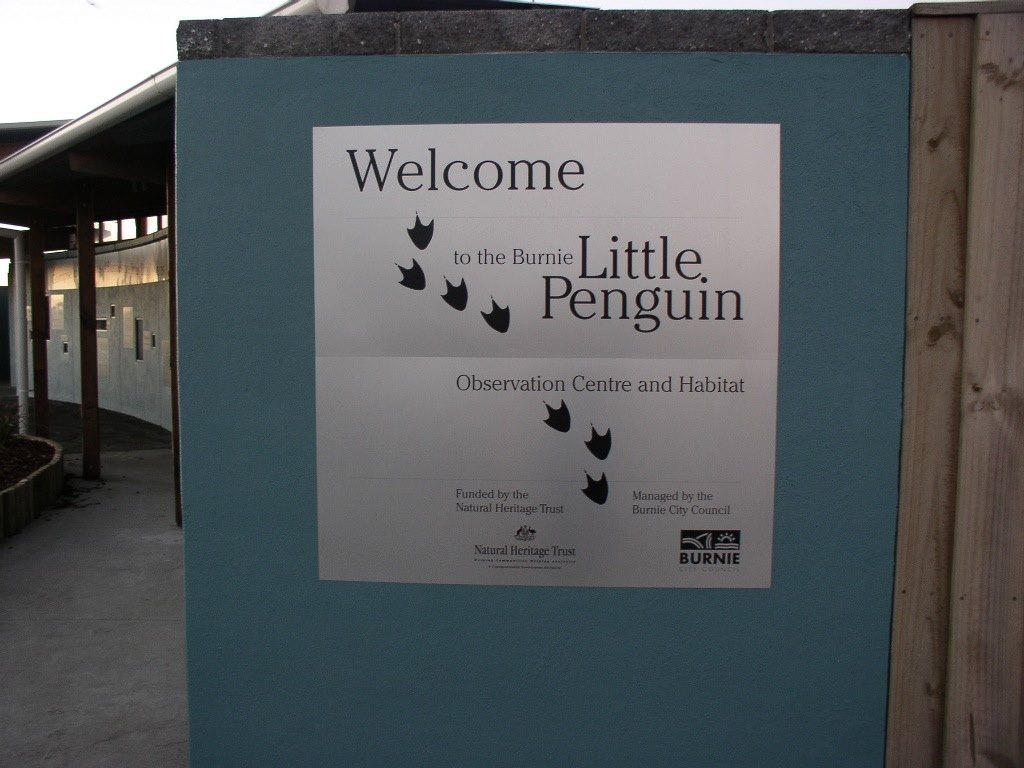Visit the Little Penguins Burnie City Council