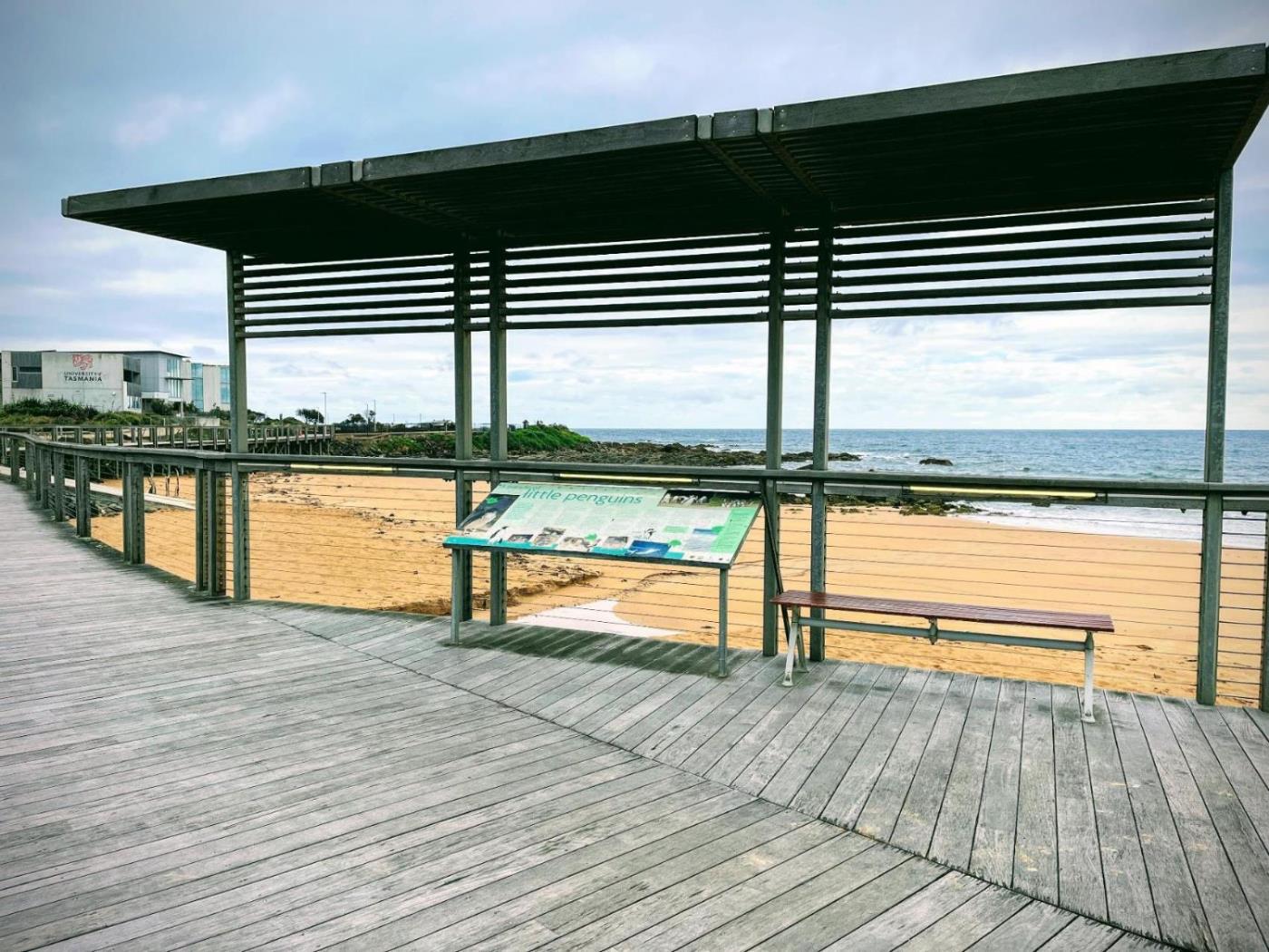 Visit the Little Penguins Burnie City Council